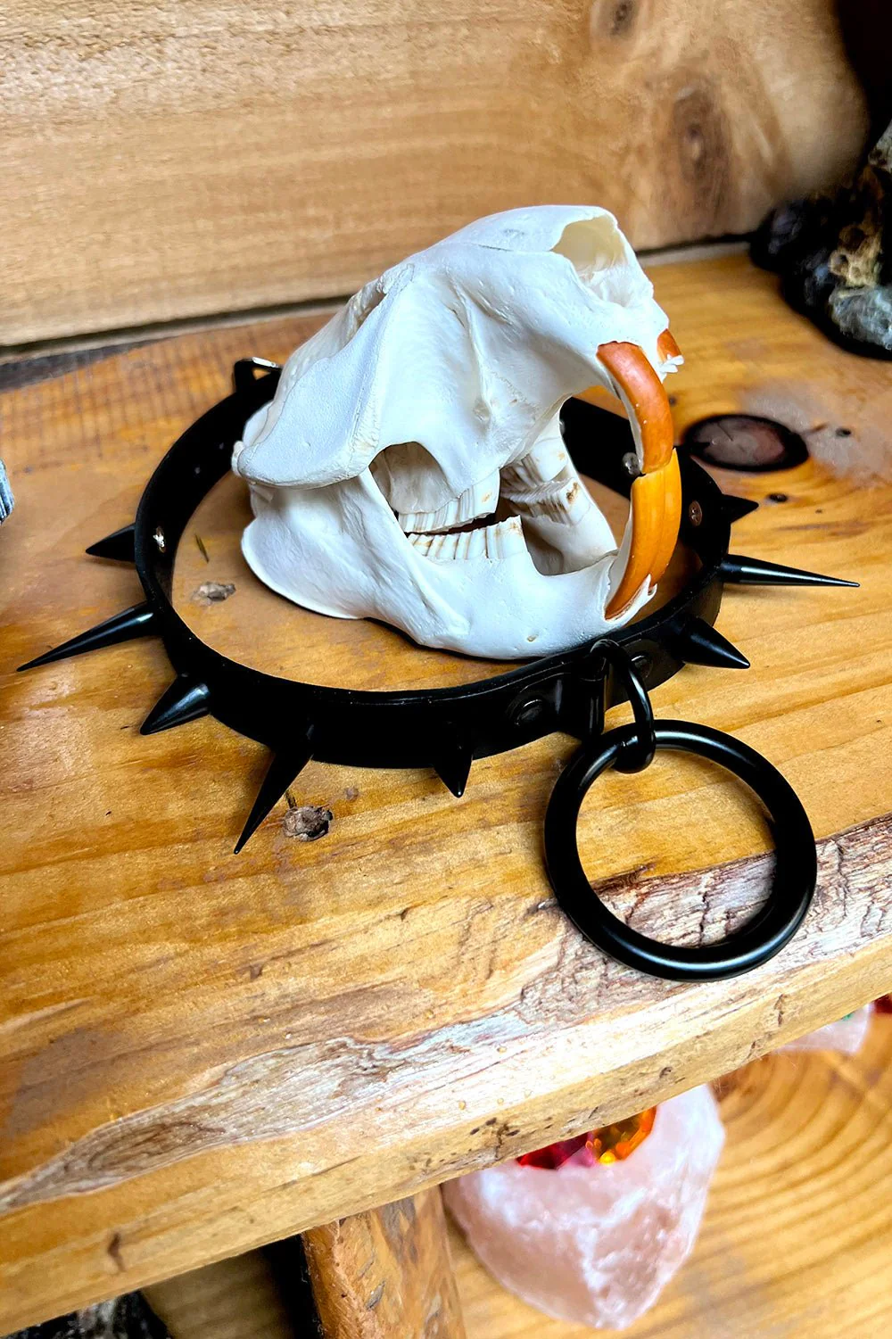 Black Bones Choker [BLACK/BLACK] - Image 5