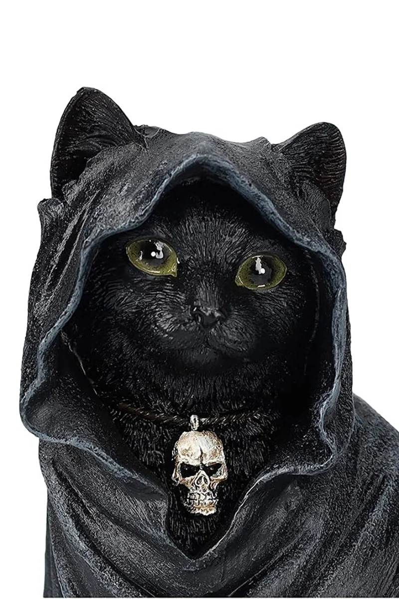 Black Cloak Cat - Image 4