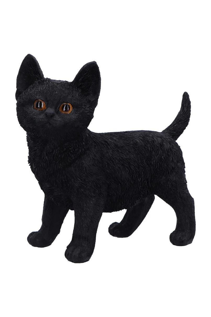 Charmed Companion
