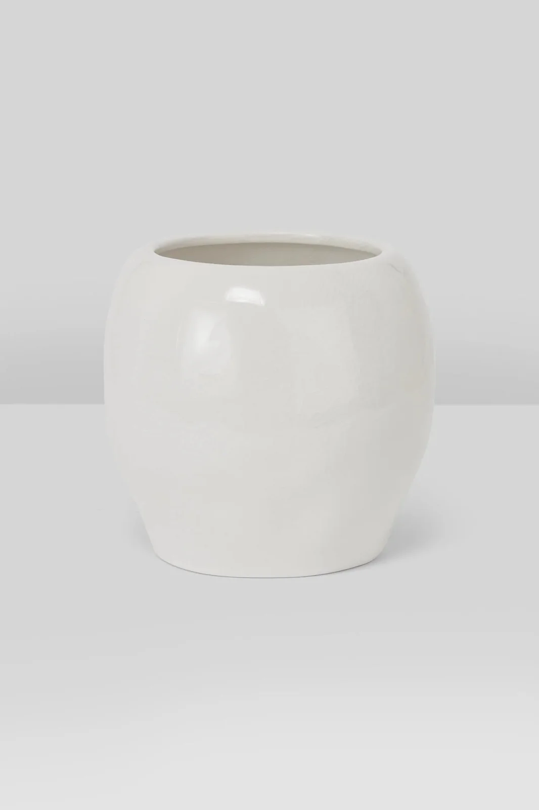 Cranium Planter - Image 2