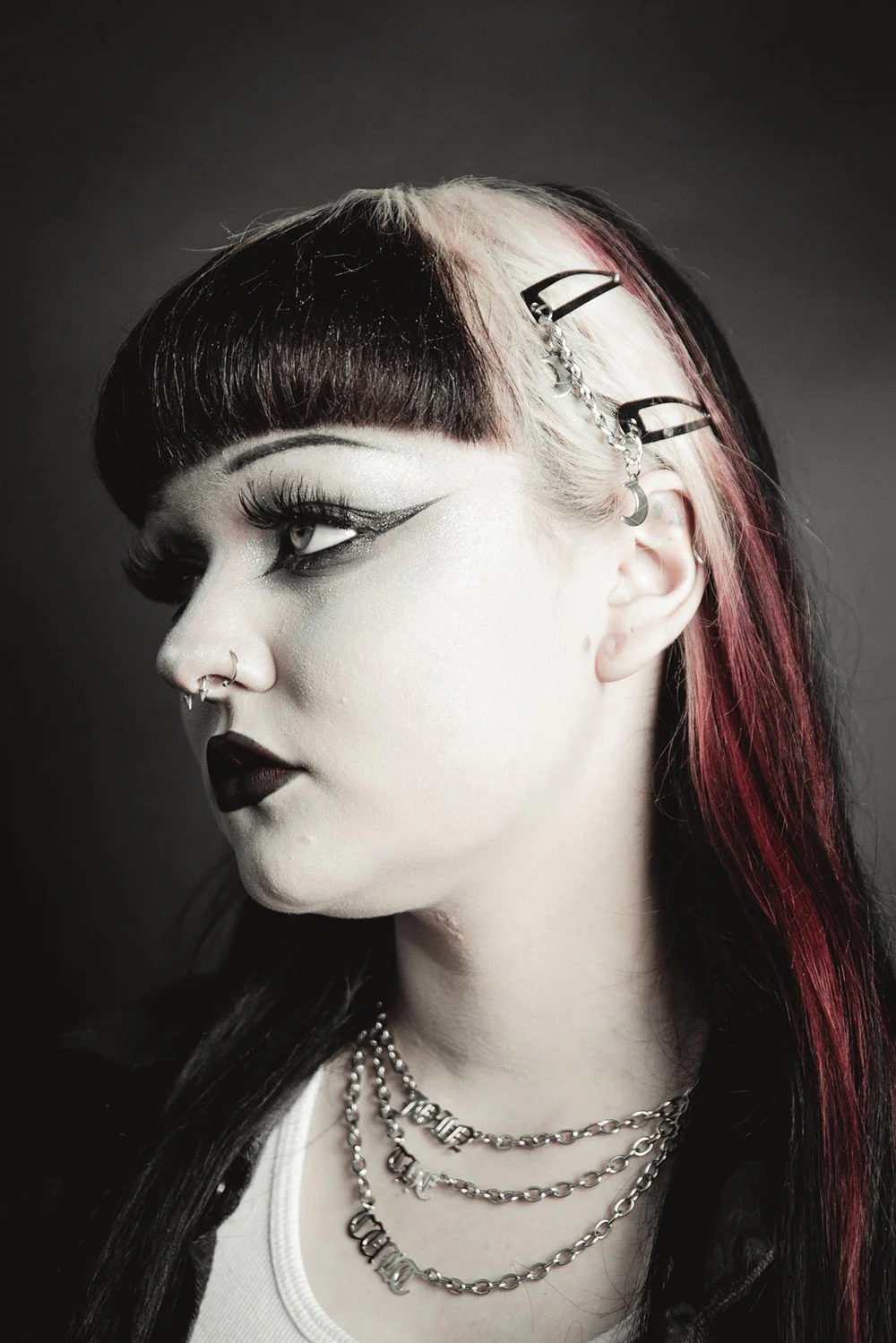 Double Moon Hair Clips - Image 4