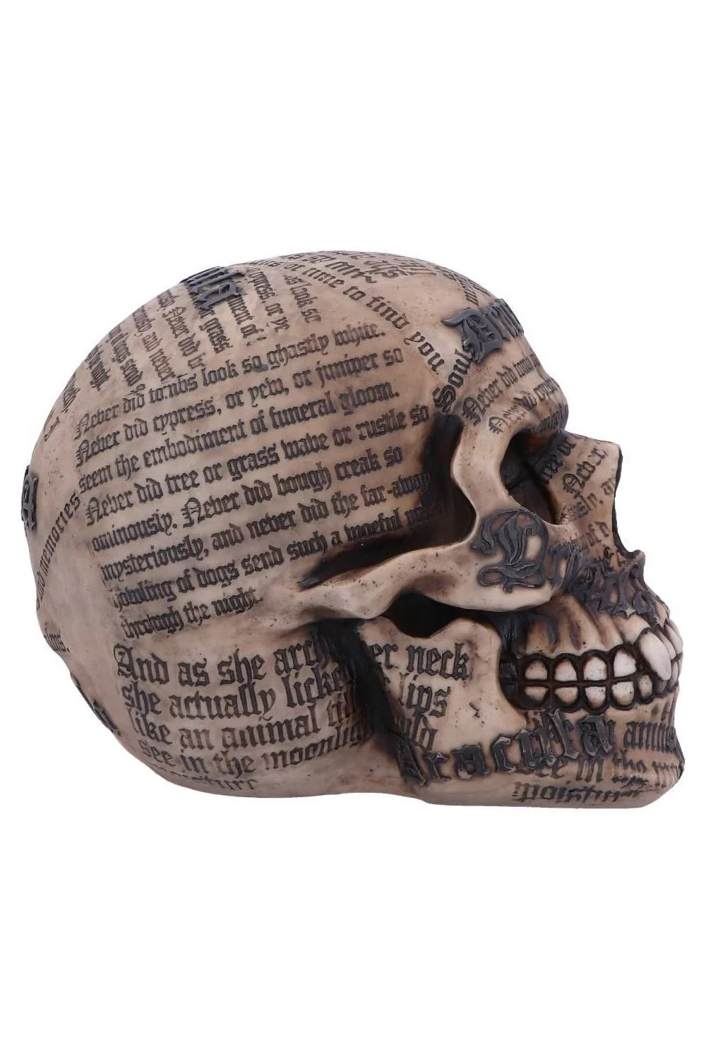 Draculas Tale Skull - Image 3
