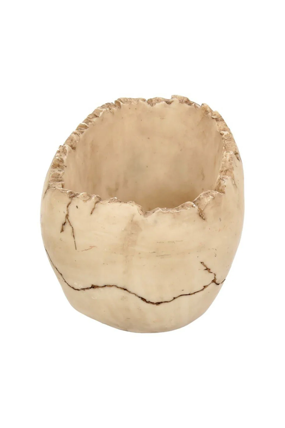 Lobo Skull Bowl - Image 5