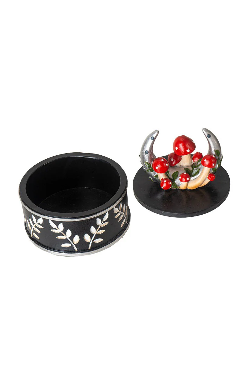 Moon & Mushroom Box - Image 2
