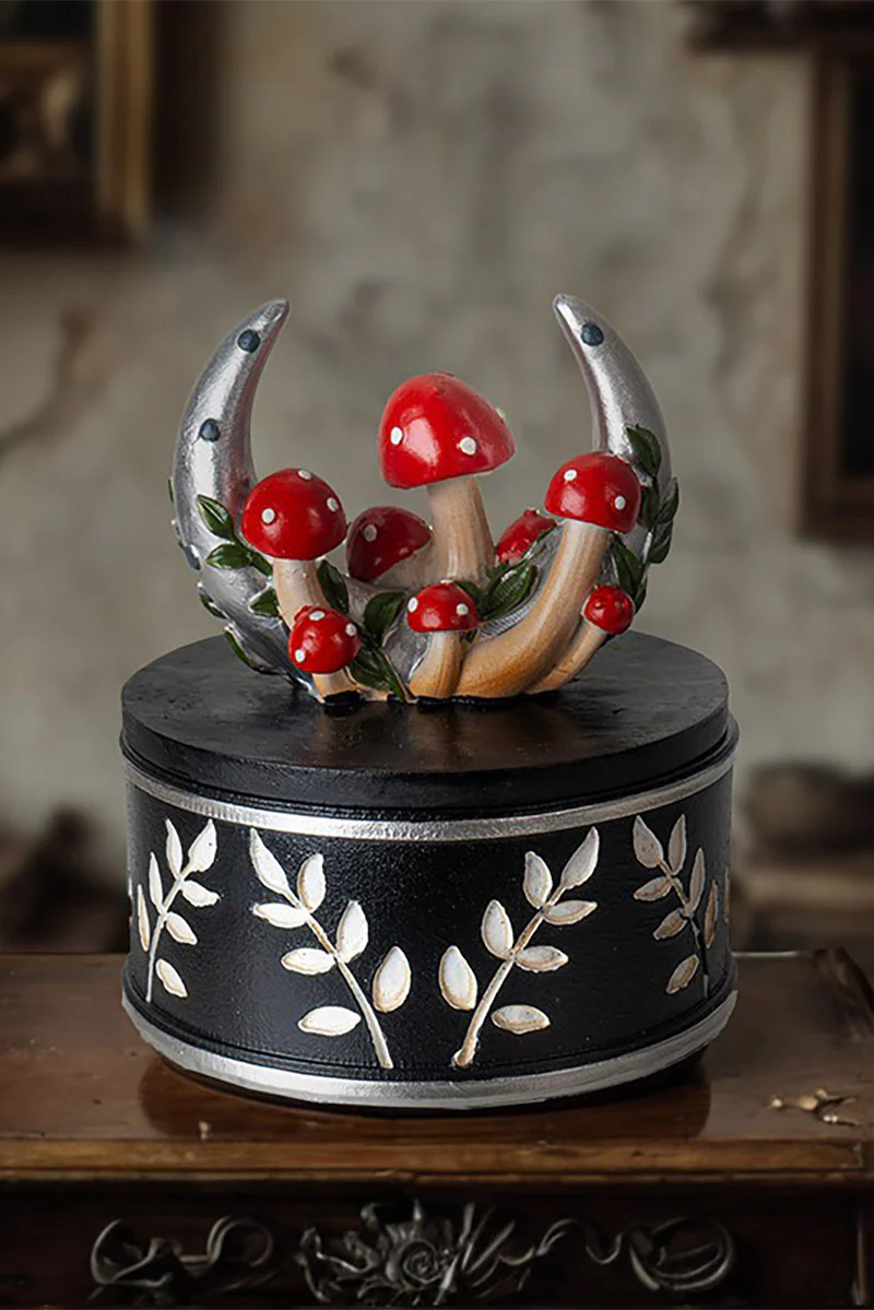 Moon & Mushroom Box - Image 3
