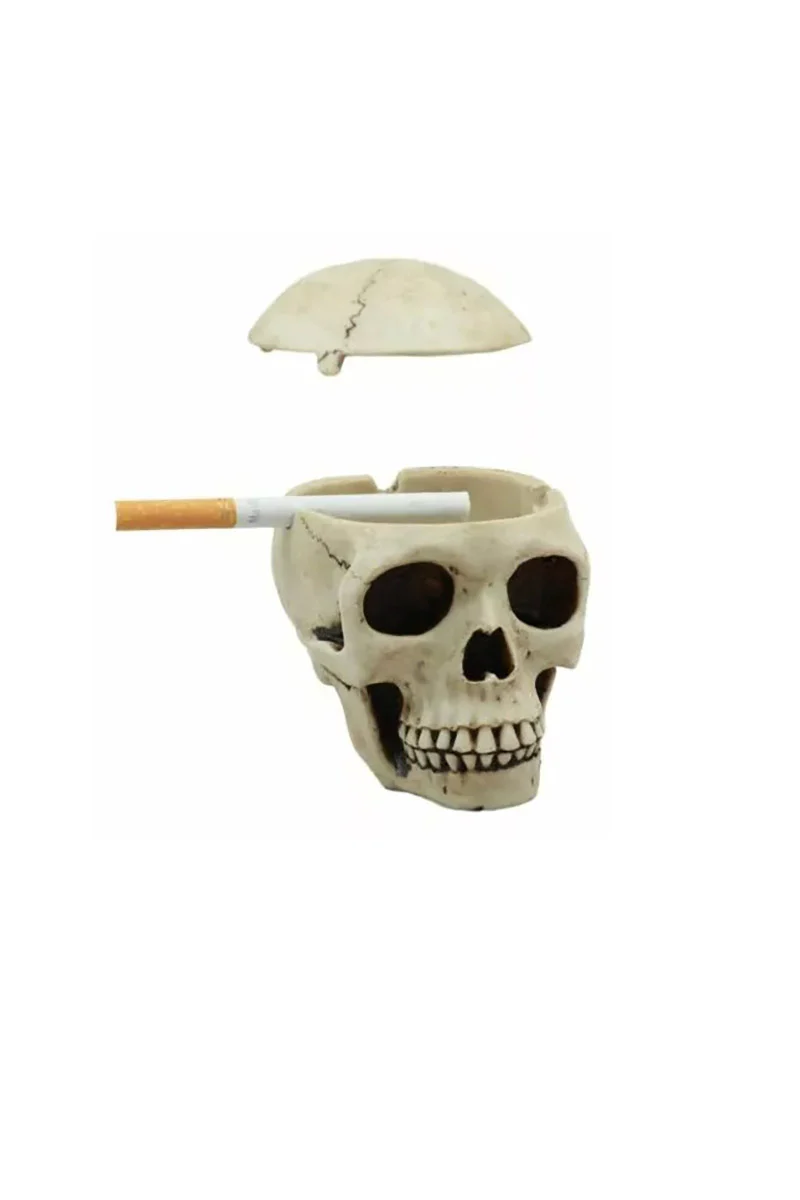Skull Box Ashtray - Image 2