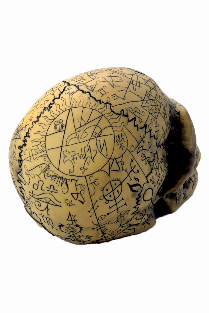 Omega Skull - Image 4