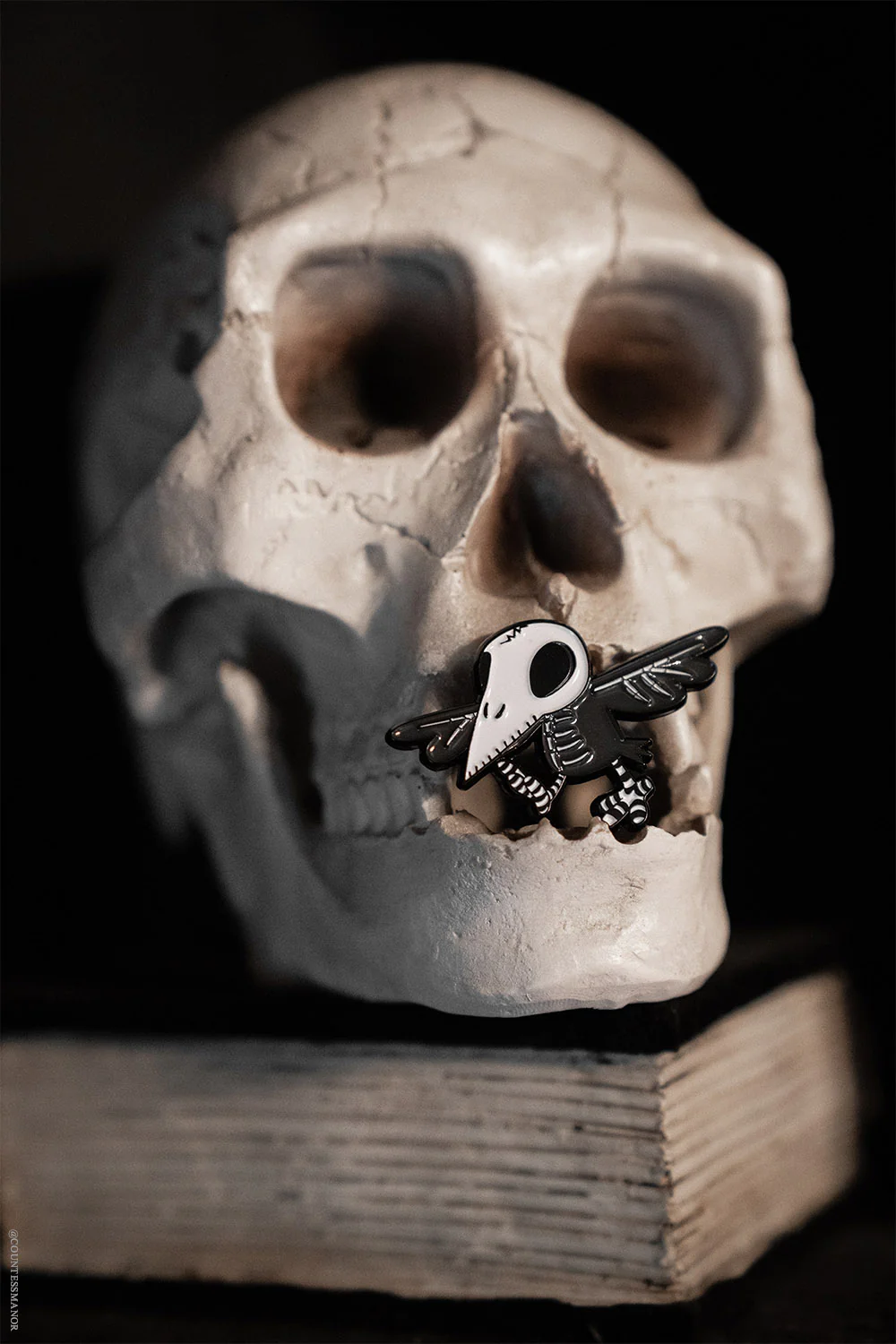 Poe's Raven Enamel Pin - Image 2