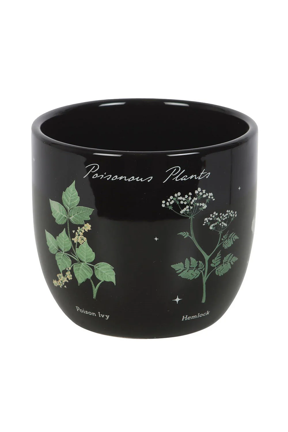 Poisonous Plants Planter - Image 2