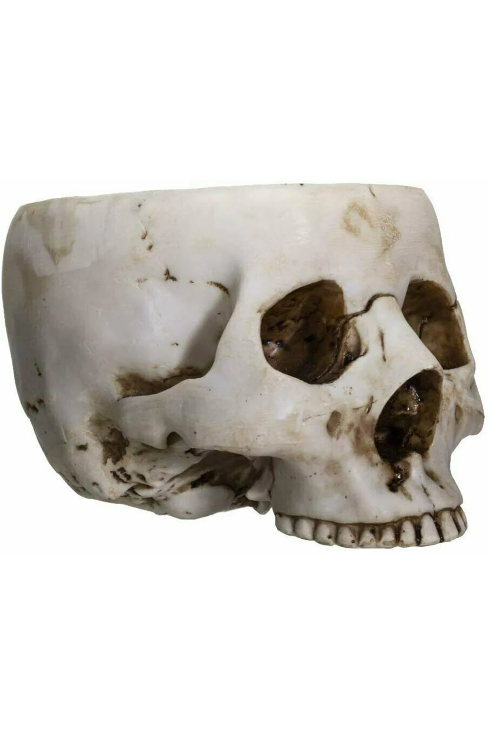 Skull Bowl - Image 2