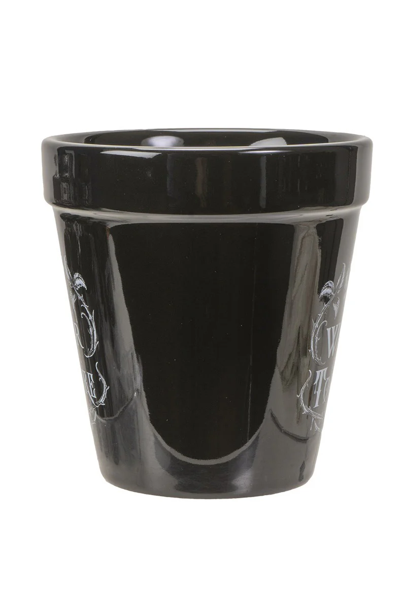 Water Don't Torture Garden Planter - Image 3