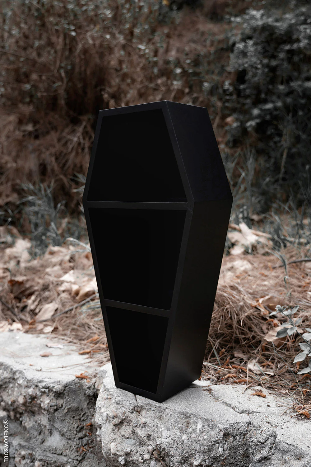 Deluxe Wood 20" Goth Coffin Shelf - Image 4